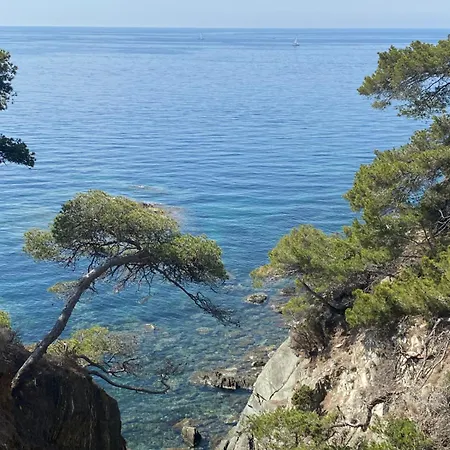 Apartment Giens, A Pied, Jardin Prive Hyeres